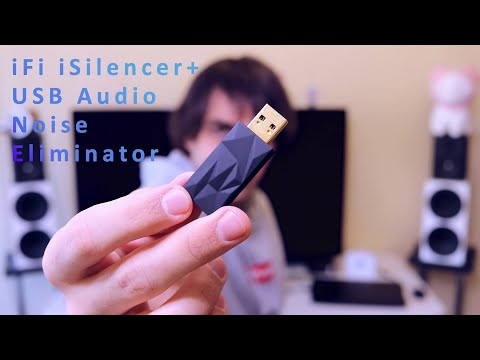 iFi Audio iSilencer+ (Type A &gt; A)