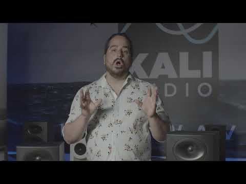 Kali Audio LP-8 V2 (sort)