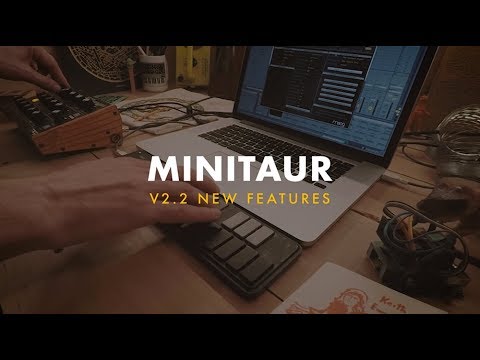 Moog Minitaur