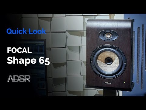 Focal Shape 65